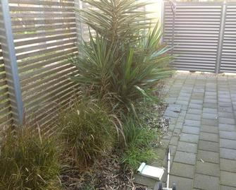 Dane Mueller - Landscaping in Underdale 2 - Before