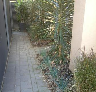 Dane Mueller - Landscaping in Underdale - Before
