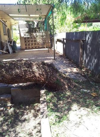 Darren Heath - Garden Tidy Up after 3