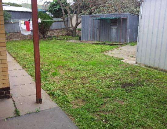 Darren Heath - Lawn mowing after