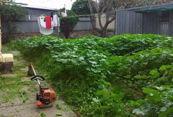 Darren Heath - Lawn mowing before