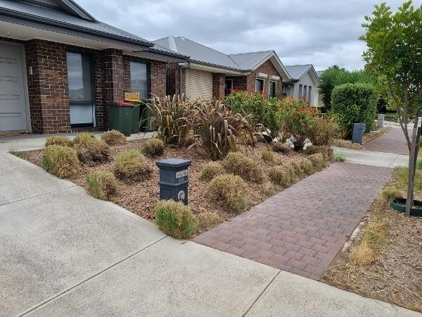 David Jauncey - Overgrown Changes after