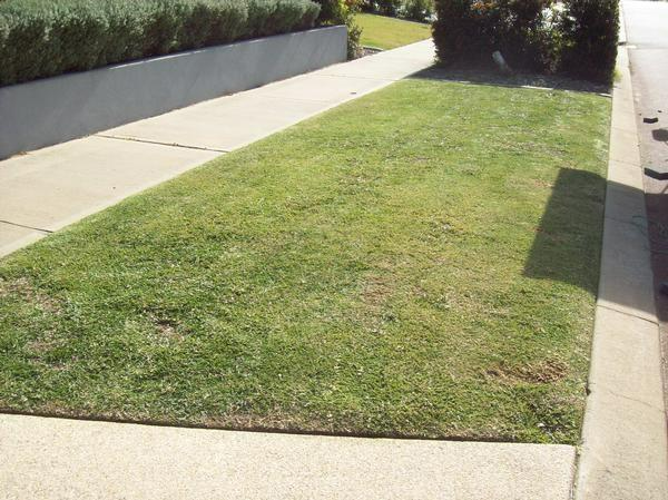 Gary Burton - Lawn Maintenance