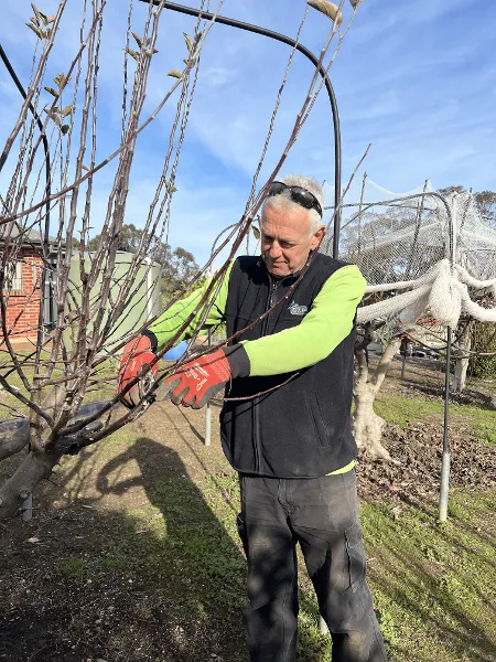 Jamie Sim - pruning class