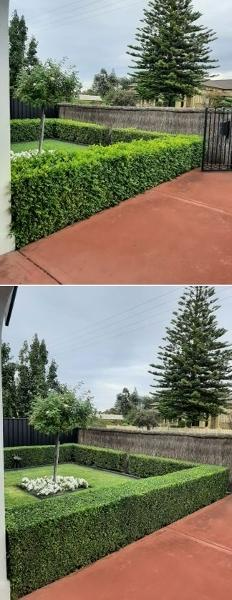 Jason Oakes - Hedging in Blakeview - before & after