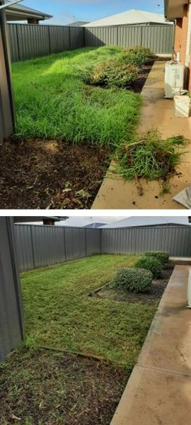 Jason Oakes - Lawn mowing in Blakeview - before & after 4