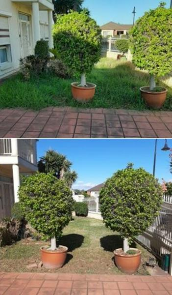 Jason Oakes - Lawn mowing in Blakeview - before & after