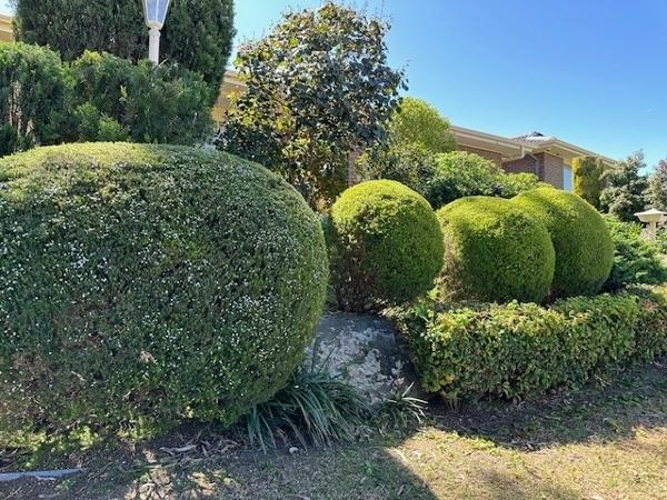Luke & Melissa Kelly - Garden Maintenance 3