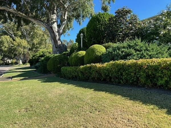 Luke & Melissa Kelly - Garden Maintenance 4
