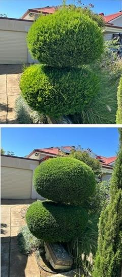 Luke & Melissa Kelly - Hedging 2