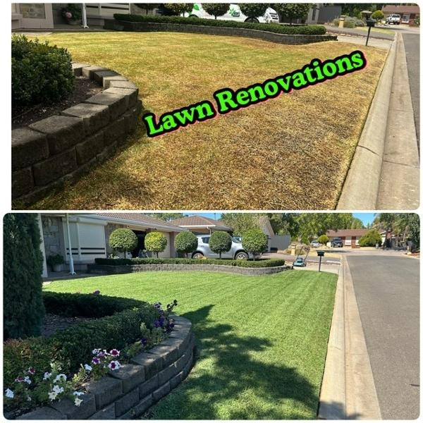 Luke & Melissa Kelly - Lawn