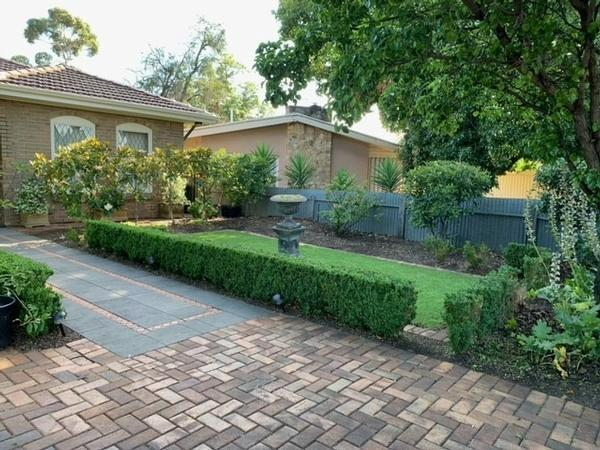 Marty Holloway - Garden Maintenance 2