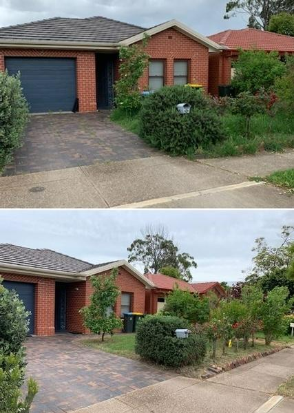 Marty Holloway - Garden tidy - before & after