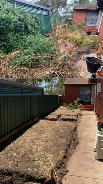 Marty Holloway - Garden tidy - before & during
