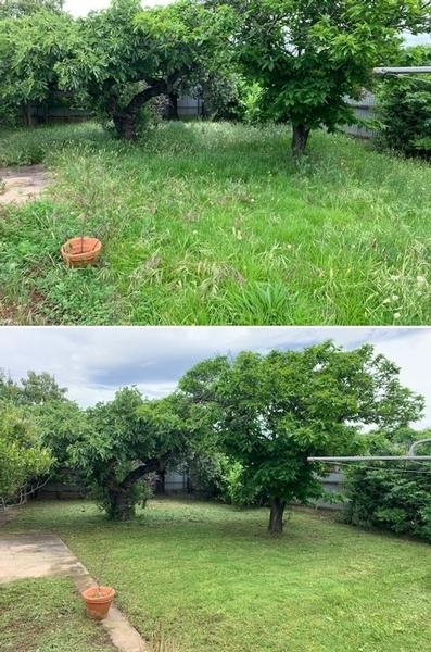 Marty Holloway - Lawn Mowing - before & after 2