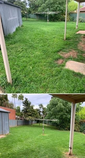 Marty Holloway - Lawn Mowing - before & after 3