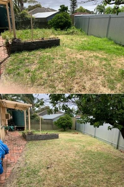 Marty Holloway - Lawn mowing - before & after