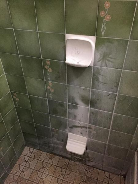 Rob Teivans - Before - Shower in Mawson Lakes