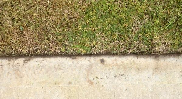 Robert Craddock - Lawn mowing - after Ellenbrook 2