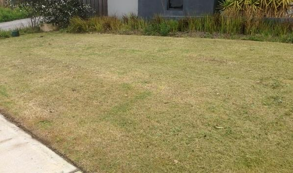 Robert Craddock - Lawn mowing - after Ellenbrook