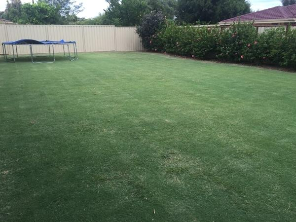 Robert Craddock - Lawn mowing - after
