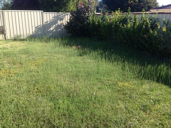 Robert Craddock - Lawn mowing - before