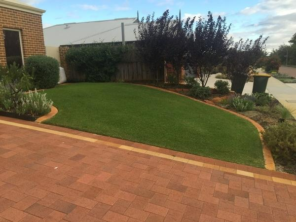 Robert Craddock - Lawn mowing & edging - The Vines 2