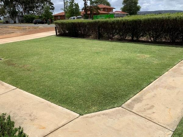 Robert Craddock - lawn after 1