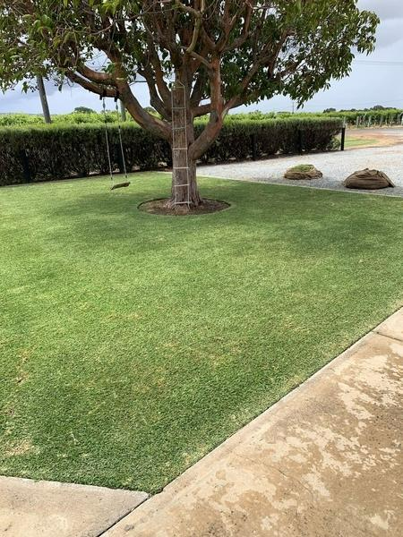 Robert Craddock - lawn after 2