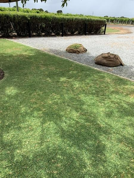 Robert Craddock - lawn after 3