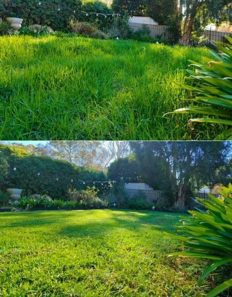 Rod Patterson - Lawn mowing in Happy Valley - before & after