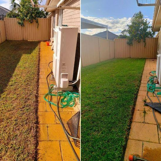 Rod Patterson - Lawn rejuvenation