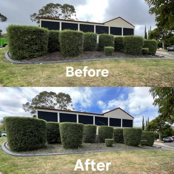 Russell Schroeter - hedging - before & after 2