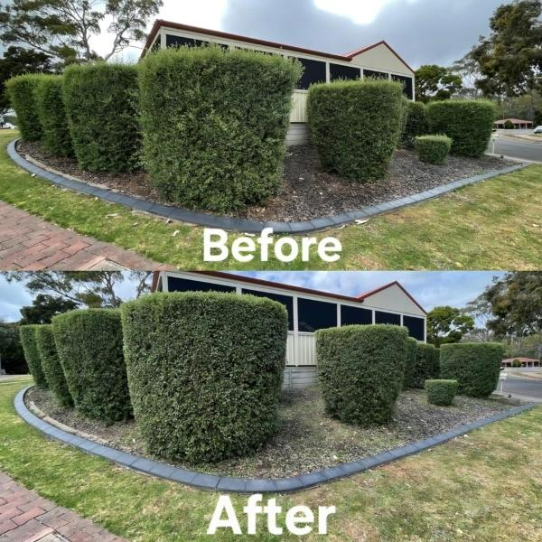 Russell Schroeter - hedging - before & after