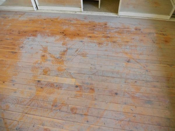Russell Yeoman - Floor board cleaning before