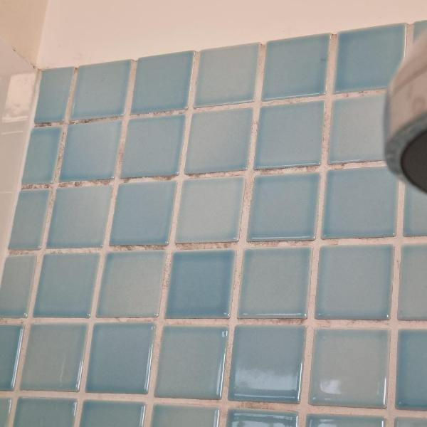 Sally Pitman - Stirling Mould in shower grout before clean