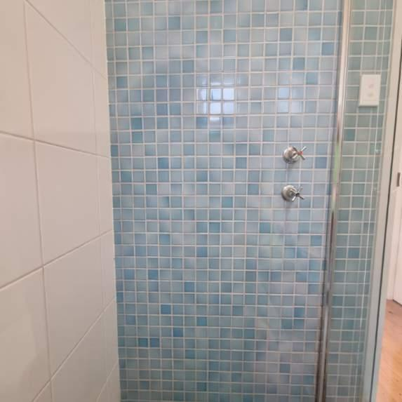 Sally Pitman - Stirling Mould removed from shower grout