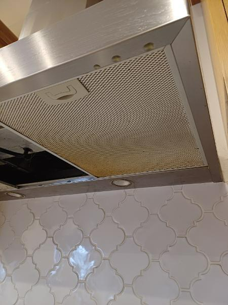 Sally Pitman - Stirling Rangehood filters before clean