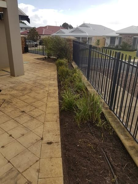Shane Hermon - After - Garden Tidy in Dunsborough