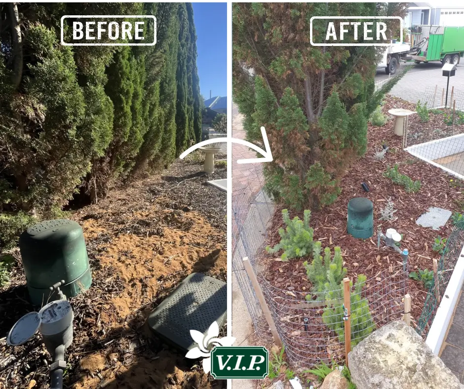 V.I.P. Lawns & Gardens Margaret River - Landscaping Before & After 4