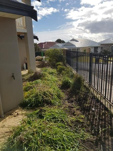 Shane Hermon - During - Garden Tidy in Dunsborough
