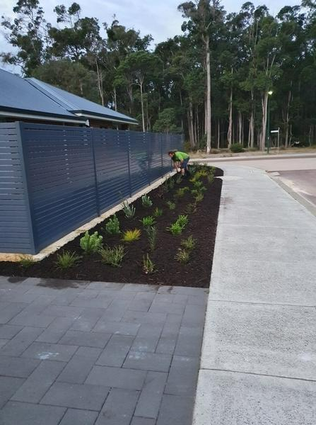 Shane Hermon - Garden Maintenance 4