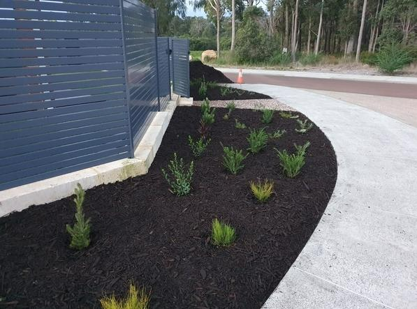 Shane Hermon - Garden Maintenance 6