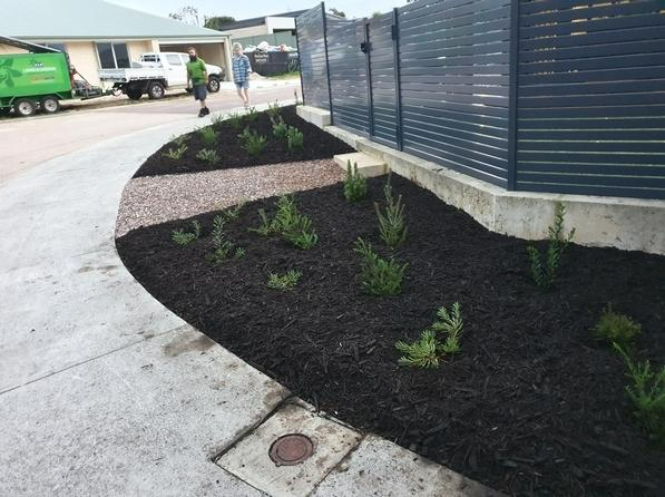 Shane Hermon - Garden Maintenance 8