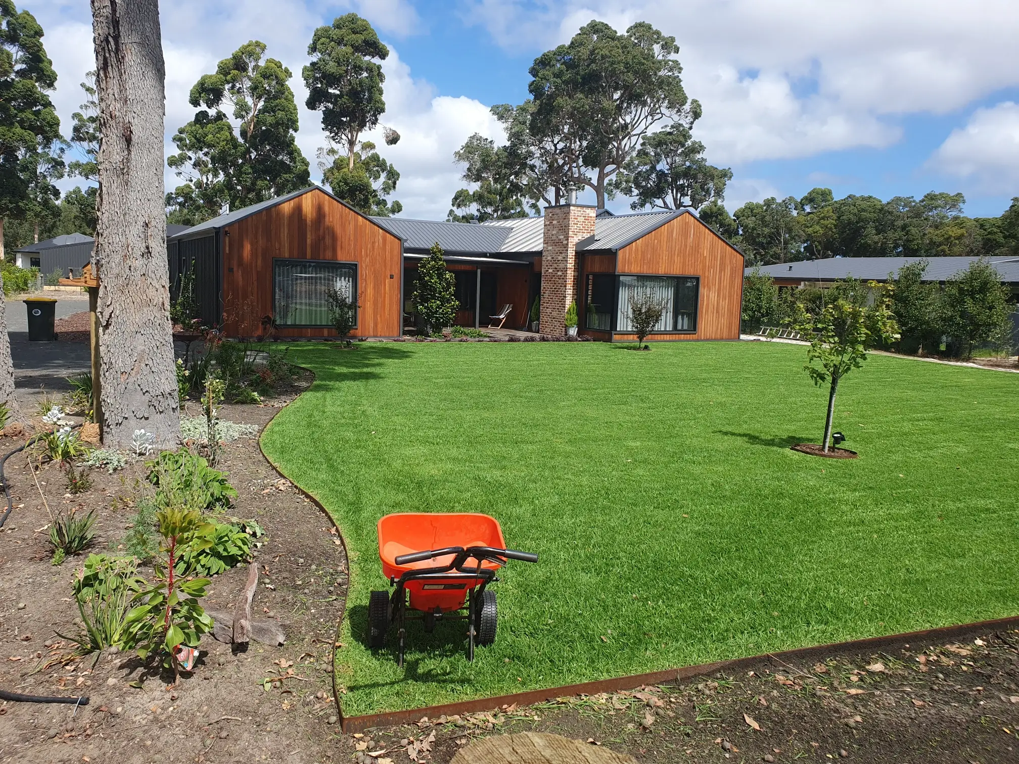 Shane Hermon - Garden Maintence 9