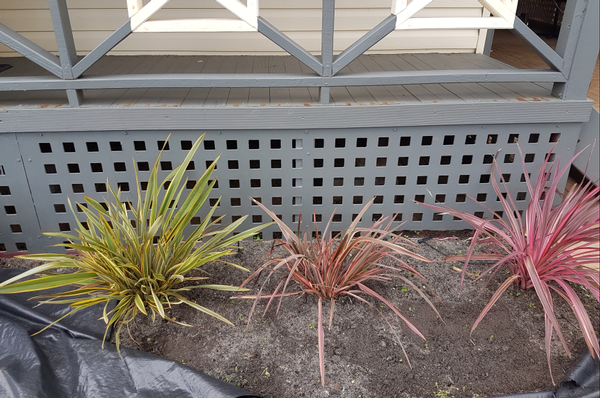 Shane Hermon - Garden Tidy in Busselton