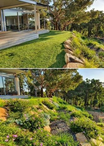 Shane Hermon - Garden makeover 2