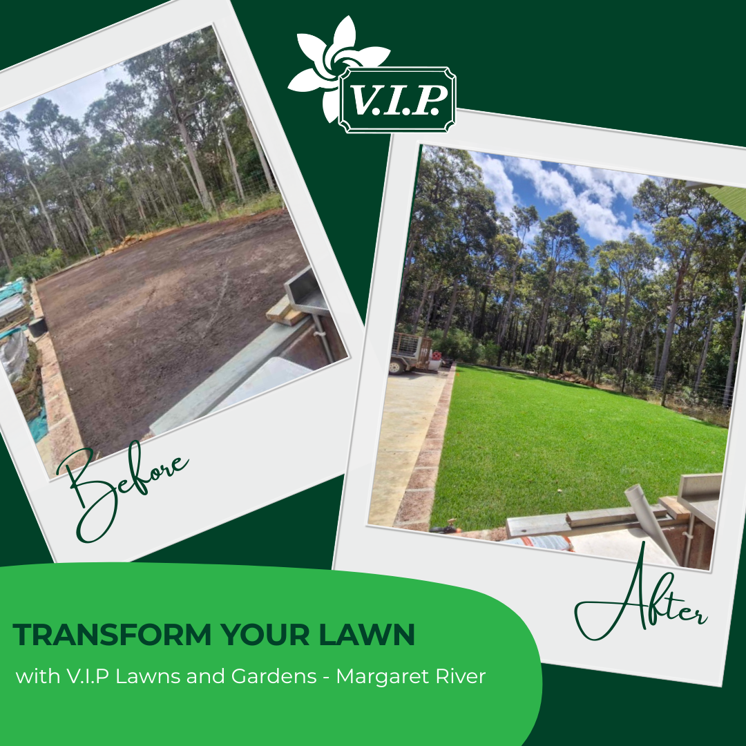 Shane Hermon - Lawn before & after
