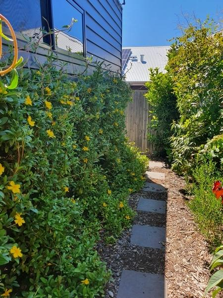 Shane Hermon - Native Garden 2