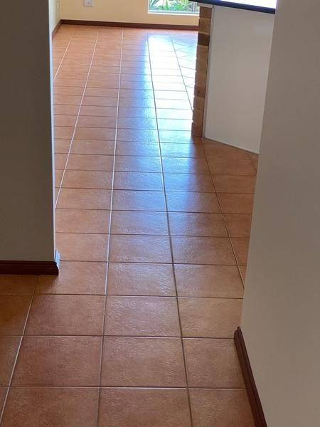 Dima El Kari - Exit Clean - Floor Cleaning 2